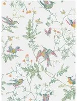 Cole & Son Carta da parati Hummingbirds - Pastel