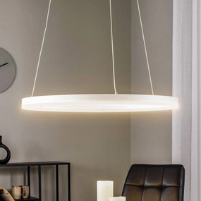 Lampada LED a sospensione Arcchio Albiona, bianco, 1 anello, Ø 60 cm Albiona Arcchio, dimmerabile, Bianco / Opale, Cucina, Metallo, Moderno