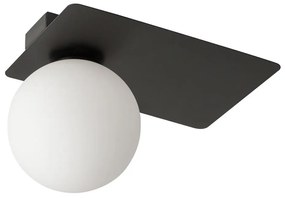 Plafoniera  ARGON 1xG9/12W/230V nera