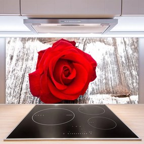 Pannello paraschizzi cucina Natura della pianta del fiore della rosa 100x50 cm