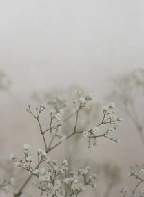 Sandberg Wandbild Julia - Spring Green