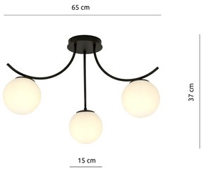 Plafoniera Moderna 3 Luci Coeo In Acciaio Nero E Diffusori In Vetro Opale