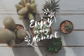 Carta da parati – Citazione - Enjoy every moment