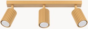 Faretti da soffitto a LED Gleam