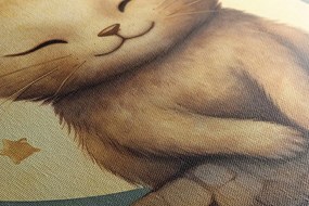 Stampa su tela – Gatto sognante