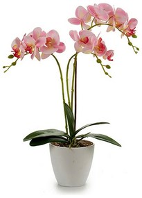 Pianta Decorativa Orchidea Plastica 20 x 49 x 26 cm (4 Unità)