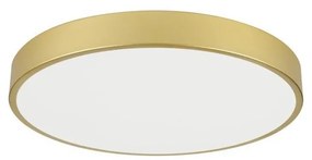 Immax NEO 07293L - LED+CCT dimmerabile plafoniera SEMPLICI 60W/230V Ø 60 cm + telecomando