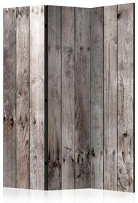 Paravento separè Legno centenario - texture di tavole di legno grigie con piccoli nodi