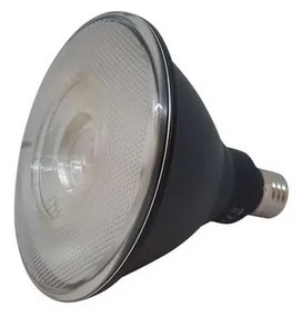 Lampadina LED 15W (1300lm) 30° Par38 Cool Flood - Flos