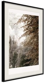 Poster  Pond in the Park  Cornice Quadri Cornice nera con pass-partout, Larghezza x Altezza Home decor 20x30