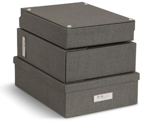 Organizzatori di documenti in cartone in set da 5 Holger - Bigso Box of Sweden