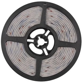 Striscia LED RGBW Dimmerabile 5m LED/24W/12V IP65