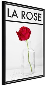 Poster Rose in the Vase