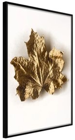 Poster  Dried Maple Leaf  Cornice Quadri Cornice nera, Larghezza x Altezza Home decor 20x30