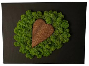 Immagine con cuore di legno e muschio 20 x 30 cm