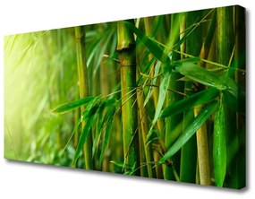 Quadro su tela Steli di piante di bambù 100x50 cm