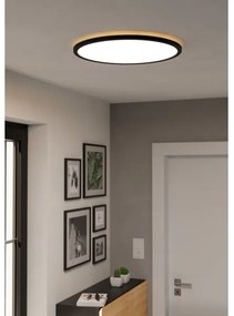 Eglo 901465 - LED RGBW Lampada dimmerabile da esterno ROVITO-Z 16,8W/230V diametro 50cm IP44 nero