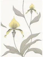 Cole & Son Carta da parati Orchid - Yellow on White