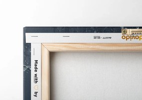 Quadro su tela – Frutta nell'acqua