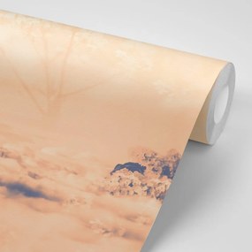 Carta da parati autoadesiva – Tra le braccia degli alberi Peach Fuzz