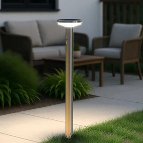 Paletto da giardino Solare con Sensore Movimento 80cm in Acciaio Colore Bianco Naturale 4.000K