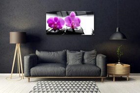 Quadro acrilico Fiori di orchidea della natura 100x50 cm