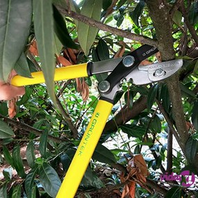 GRÜNTEK Troncarami GRIZZLY 490 mm
