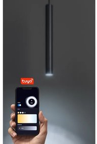 Rabalux 70132 - Lampadario a sospensione con filo LED dimmerabile per sistema ferroviario monofase LiTrack LED/5W/24V