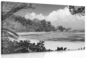Stampa su tela – Spiaggia meravigliosa sull'isola di La Digue in bianco e nero