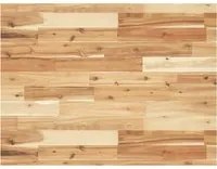 Piano Scrivania a Olio 100x60x4 cm Legno Massello Acacia 3279768