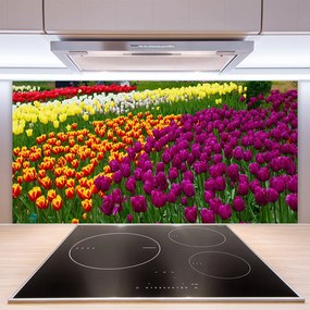 Schienali cucina Fiori di tulipani 100x50 cm