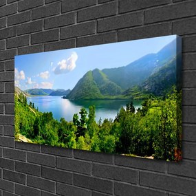 Quadro su tela Paesaggio di montagna del lago forestale 100x50 cm