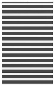 Tenda A Rullo Zebra Nero Larghezza Tessuto 145,9 Cm Poliestere /