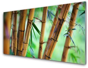 Quadro in vetro Bambù Pianta Naturale 100x50 cm