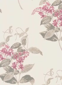 Cole & Son Carta da parati Madras Violet - Pink