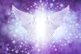 Carta da parati – Ali con elementi astratti