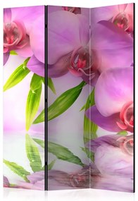 Paravento Orchid Spa [Room Dividers]