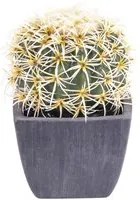 Set 2 Piante Artificiali Cactus con Vasi 14 cm