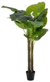 Pianta Decorativa 75 x 60 x 155 cm Verde Philodendro