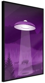 Poster  Flying Saucer  Cornice Quadri Cornice nera, Larghezza x Altezza Home decor 20x30