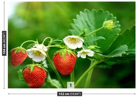 Carta da parati Fragola verde 104x70 cm