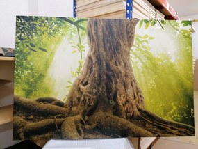 Quadro su tela – Radice dell'albero