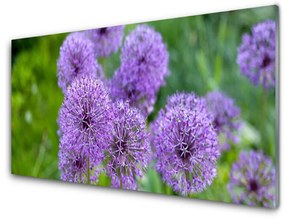Quadro su vetro Prato di fiori viola 100x50 cm
