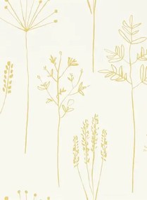 Gräser Tapete Stipa von Scion - Honey