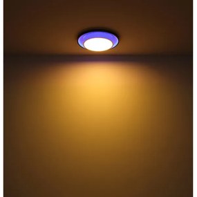 Globo 41390-21 - Plafoniera LED RGBW dimmerabile MORGAN LED/21W/230V + +TC