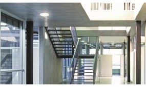 Steinel 069681-Lampada da bagno LED con sensore RSPRO P1 9,4W/230V 3000K IP54