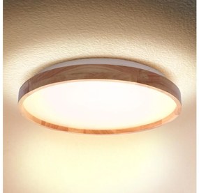 Brilagi - Plafoniera a LED ALSON LED/24W/230V rovere
