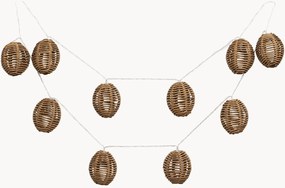 Ghirlanda luminosa da esterno Carlisle