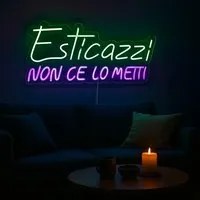 Insegna luminosa Esticazzi, da appendere