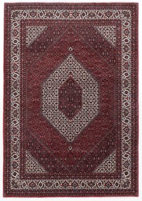 Bidjar Tappeto persiano 210x300 (Iran) Annodato A Mano